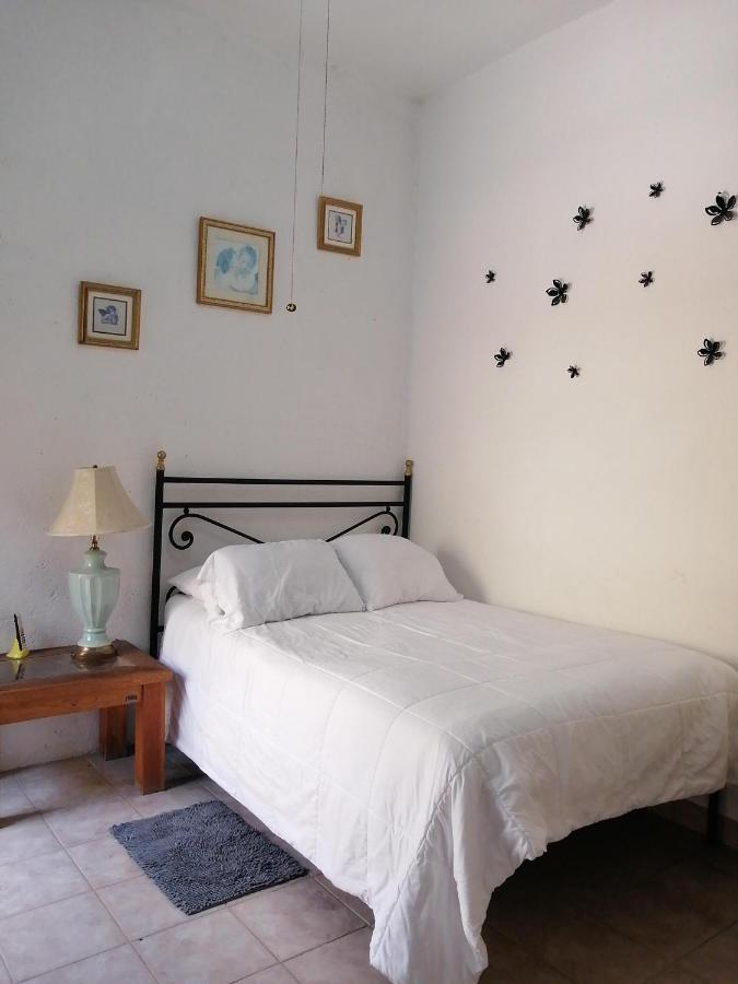 Hotel Alborada Allende 圣米格尔－德阿连德 外观 照片