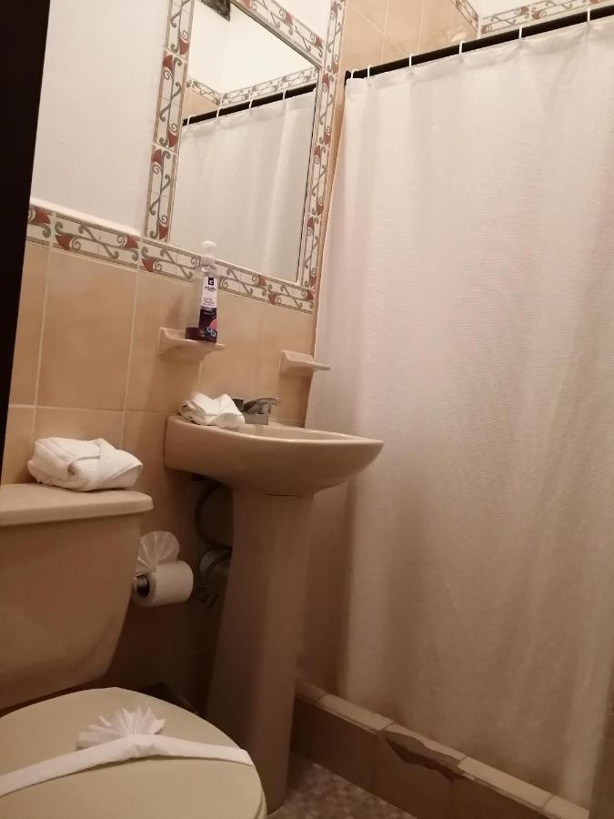 Hotel Alborada Allende 圣米格尔－德阿连德 外观 照片